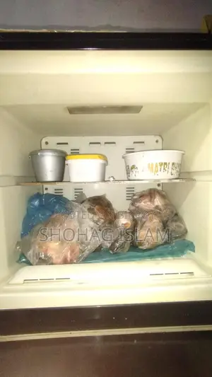 রানিং ফ্রিজ
