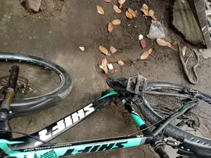 Bicycle Sale
