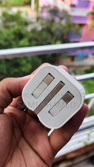 Apple Chargers