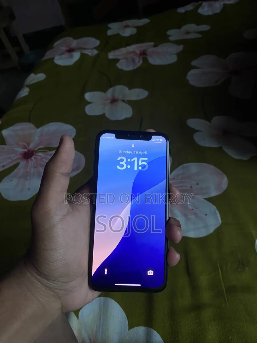 Apple iPhone XS 256GB (Used)