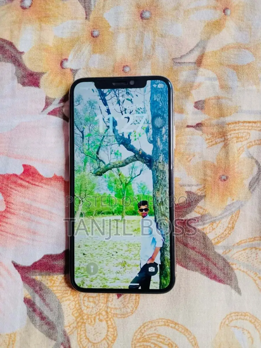 Apple iPhone X (Used)