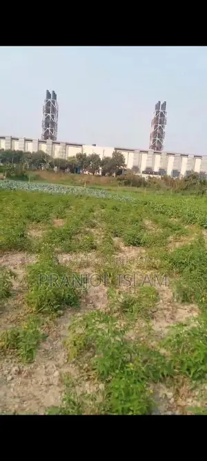 8.22 Decimal Land. Narayanganj, Gupchar-Maidher Char