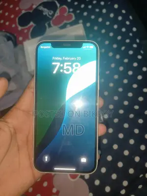 Apple iPhone 12 (Used)