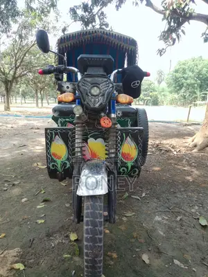 Auto Rickshaw Borak Plus