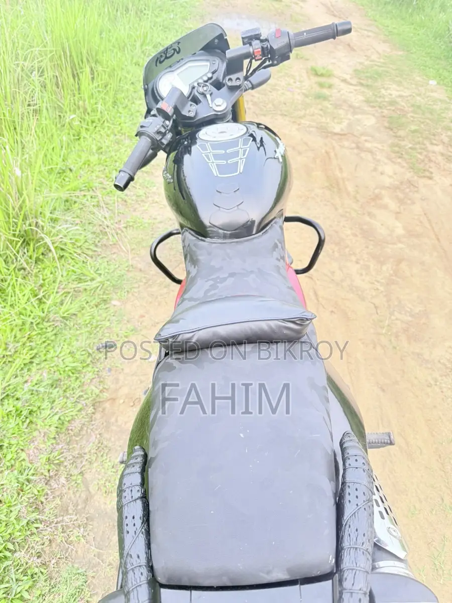 Bajaj Pulsar 150 . 2019