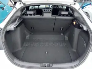 Honda Civic PKG.EX PEARL 2021