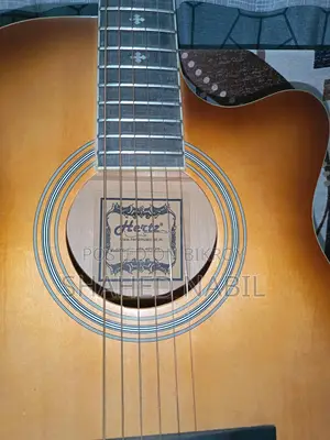 Hertz Acoustic guitar For Sale