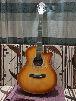 Hertz Acoustic guitar For Sale