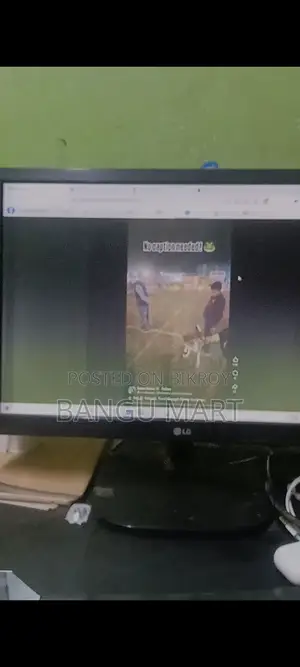 HP 22" monitor (Panel damaged, circuit working)
