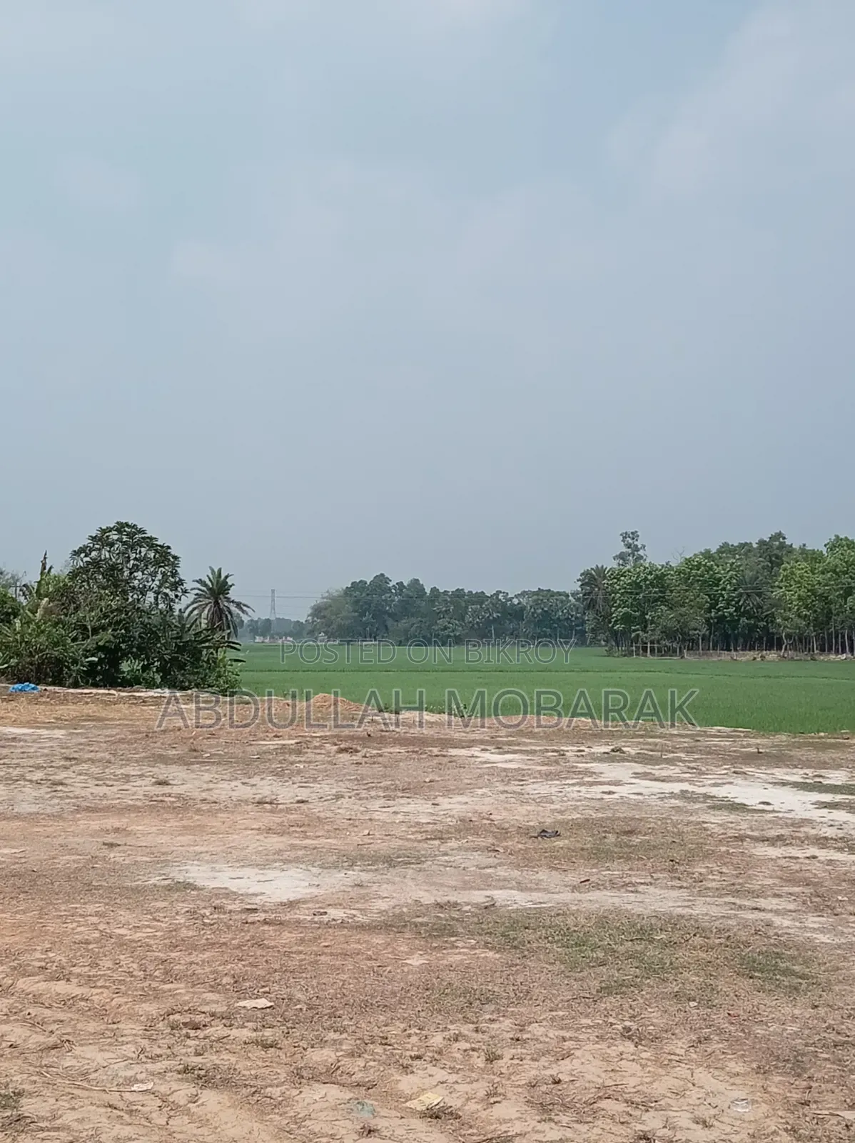 1 Bigha Land with Raised Soil on Roadside