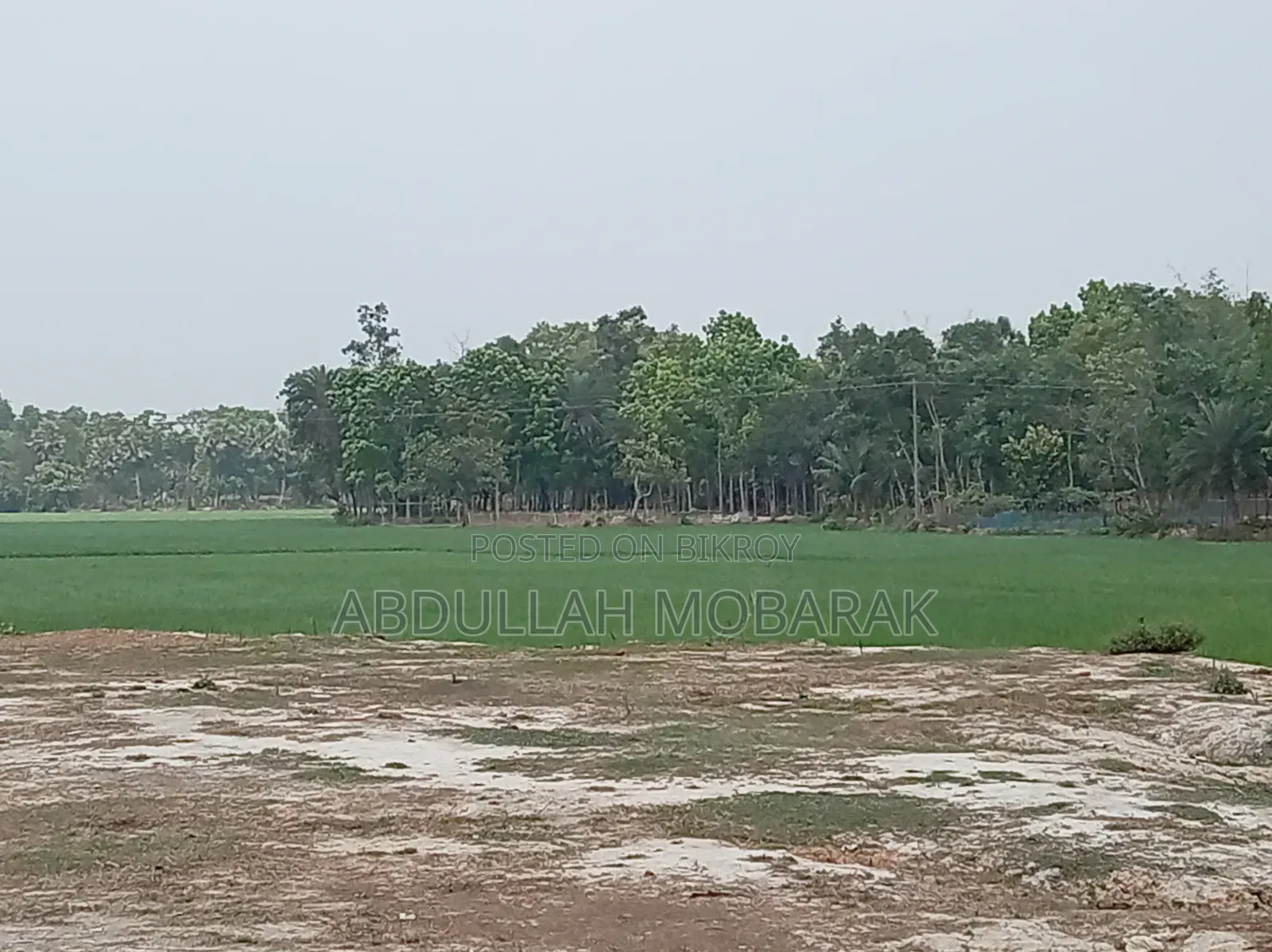 1 Bigha Land with Raised Soil on Roadside