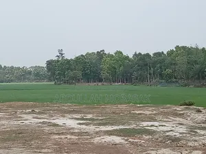 1 Bigha Land with Raised Soil on Roadside