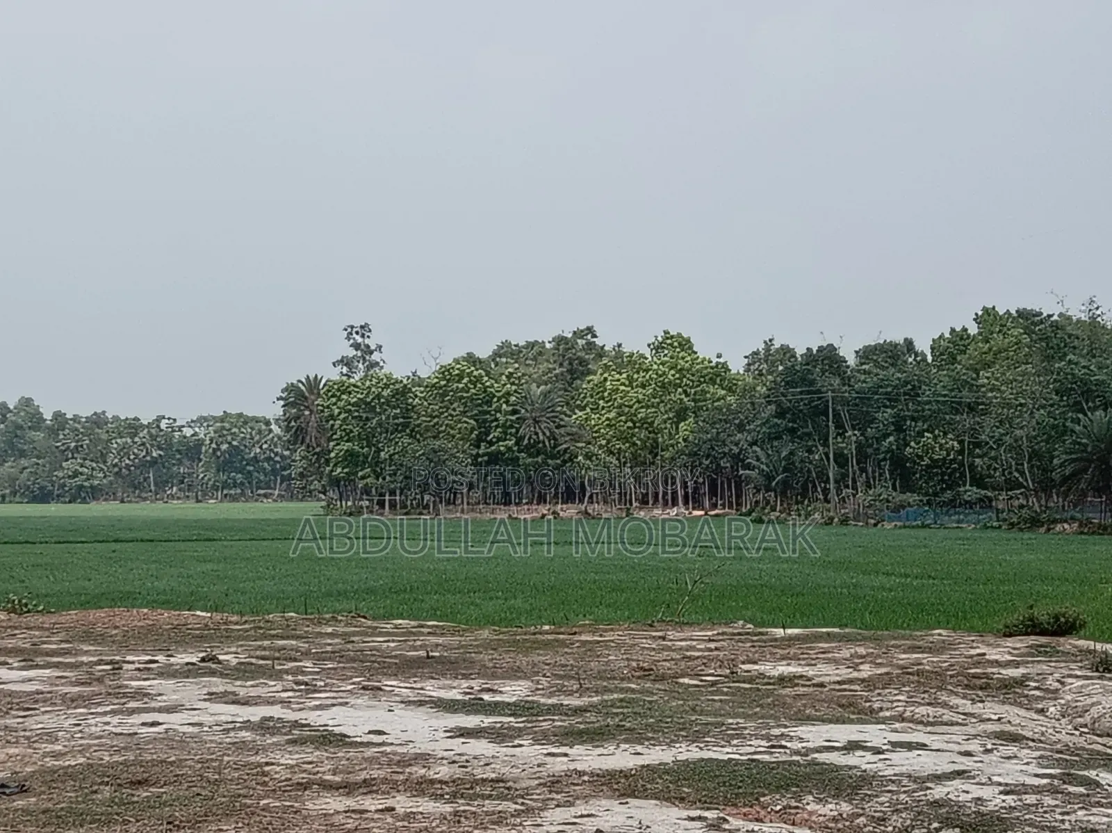 1 Bigha Land with Raised Soil on Roadside
