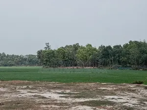 1 Bigha Land with Raised Soil on Roadside