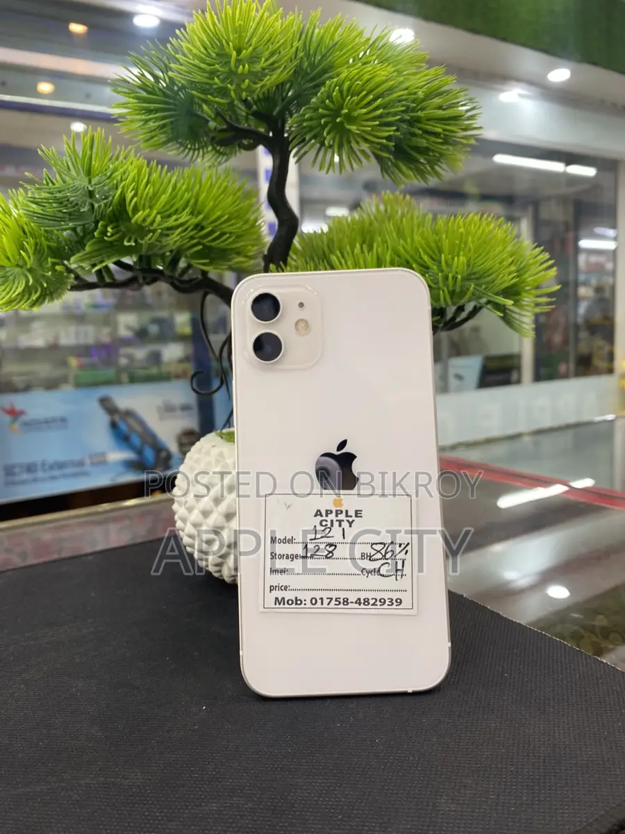 Apple iPhone 12 (Used)