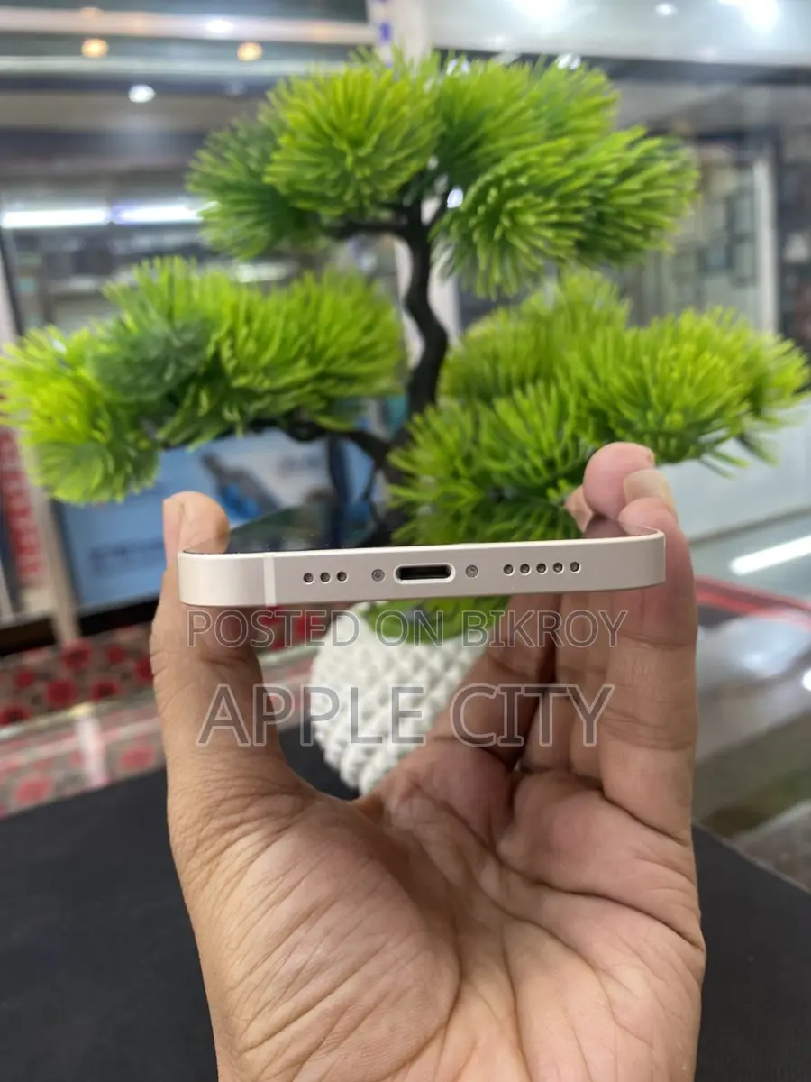 Apple iPhone 12 (Used)