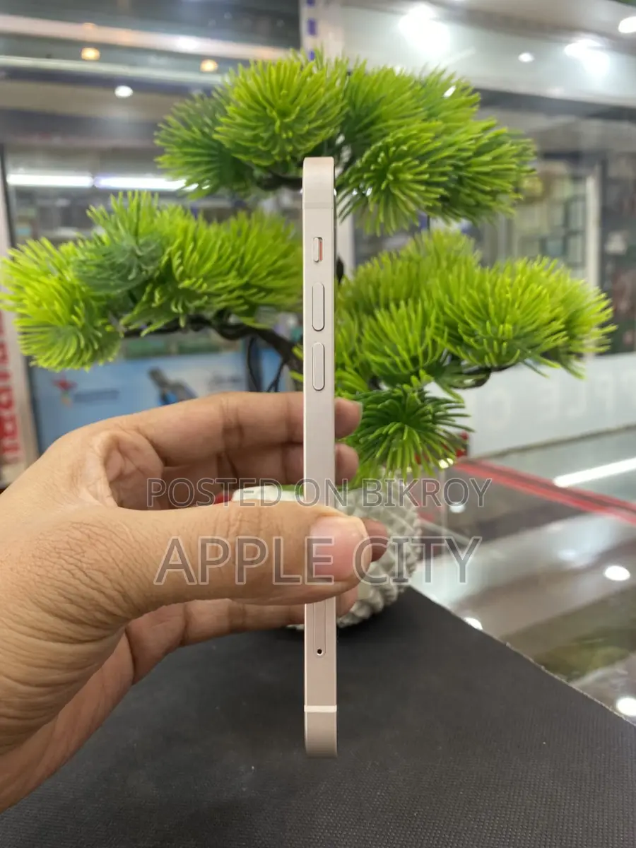 Apple iPhone 12 (Used)