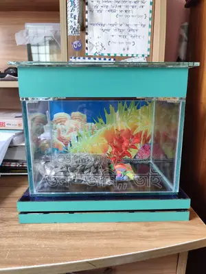 1fit+ aquarium