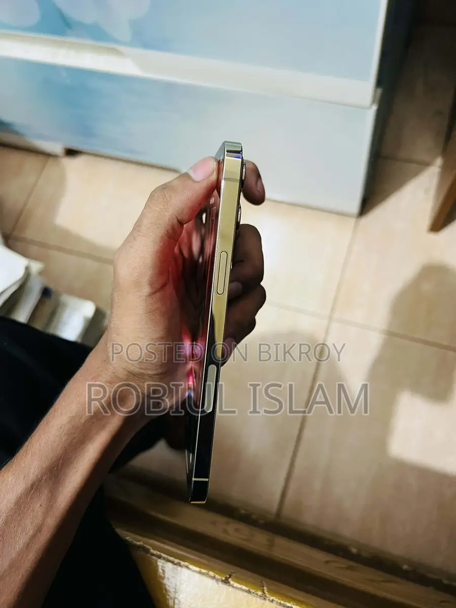 Apple iPhone 12 Pro Max (Used)