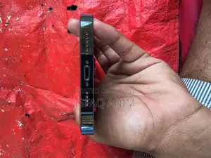 Apple iPhone 13 Pro Max (Used)