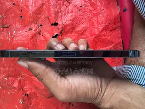 Apple iPhone 13 Pro Max (Used)