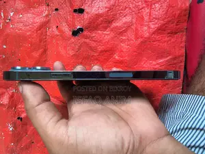 Apple iPhone 13 Pro Max (Used)