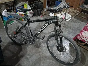 Selling my bicycle