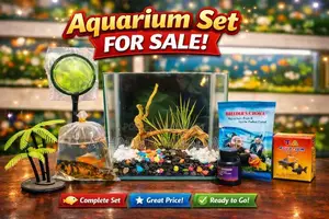 New Aquarium