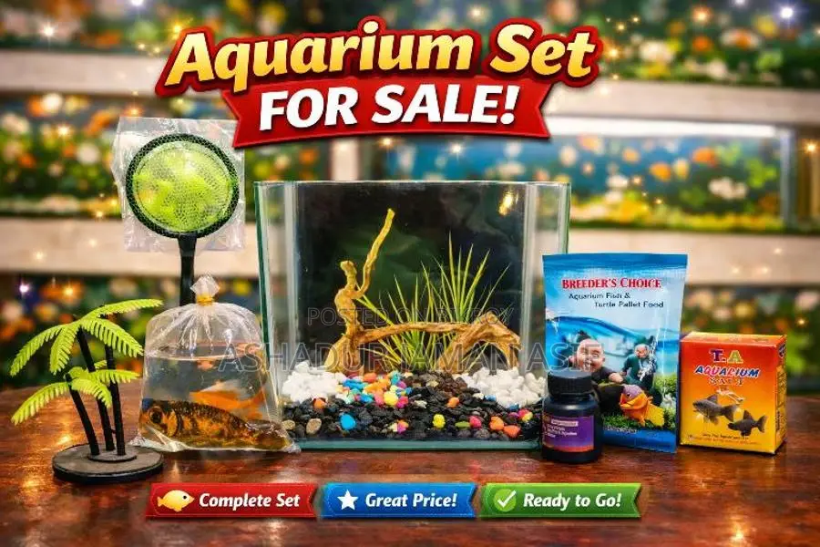 New Aquarium