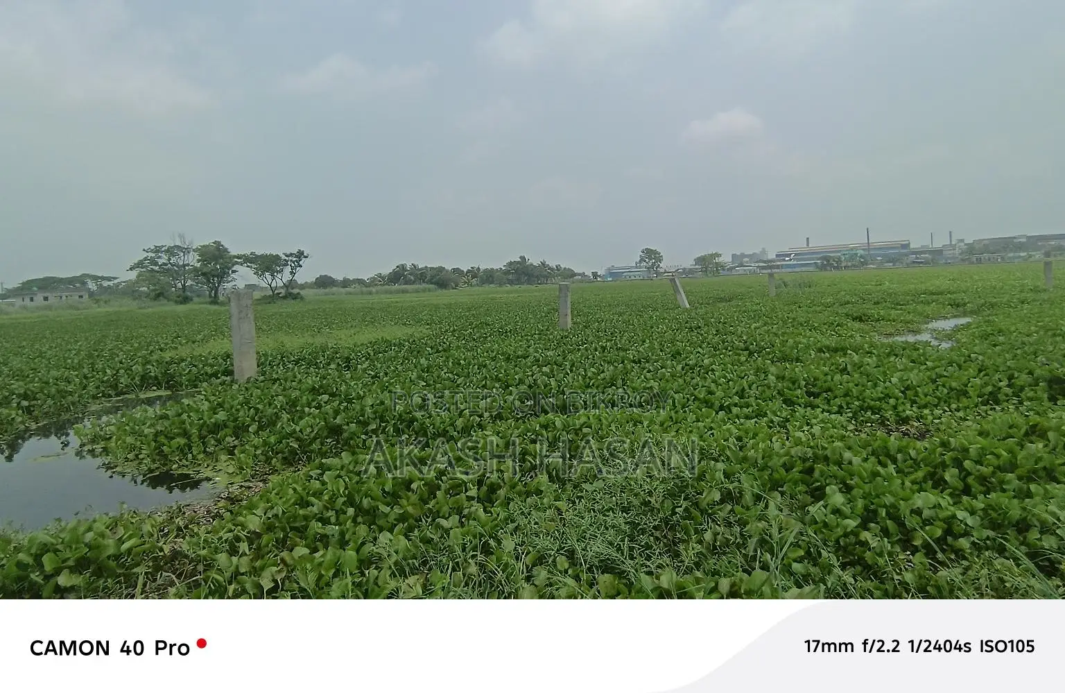 Land for Sale