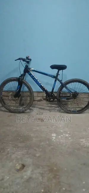 Cycle Sale