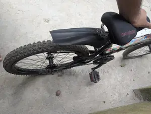 Duronto 20" Bicycle