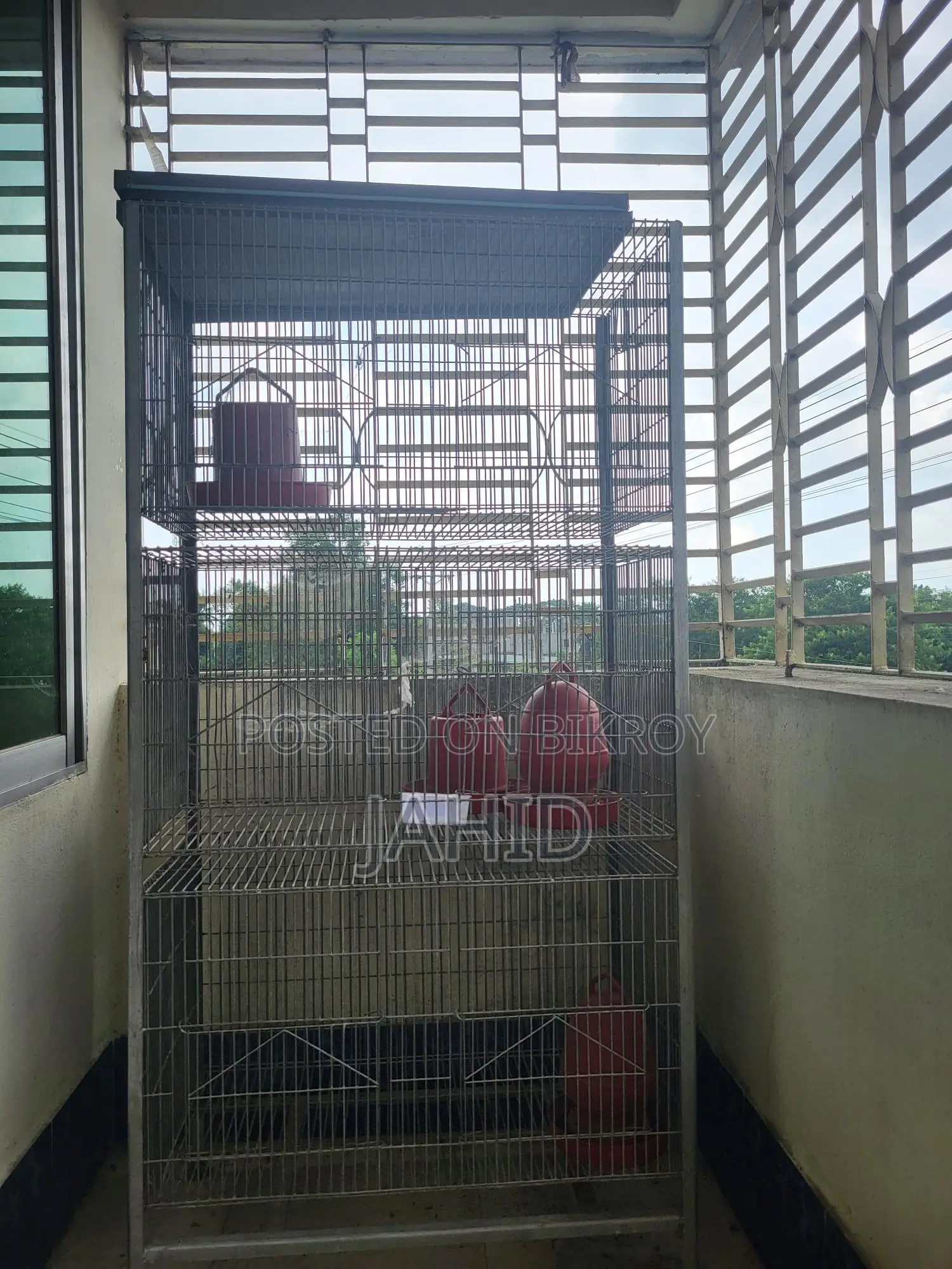 ককাটেল পাখির খাঁচা