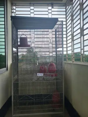 ককাটেল পাখির খাঁচা