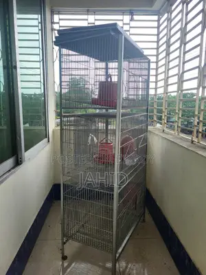 ককাটেল পাখির খাঁচা