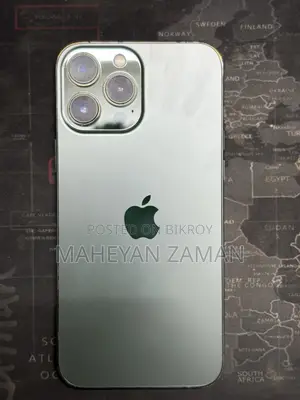 Apple iPhone 13 Pro Max (Used)
