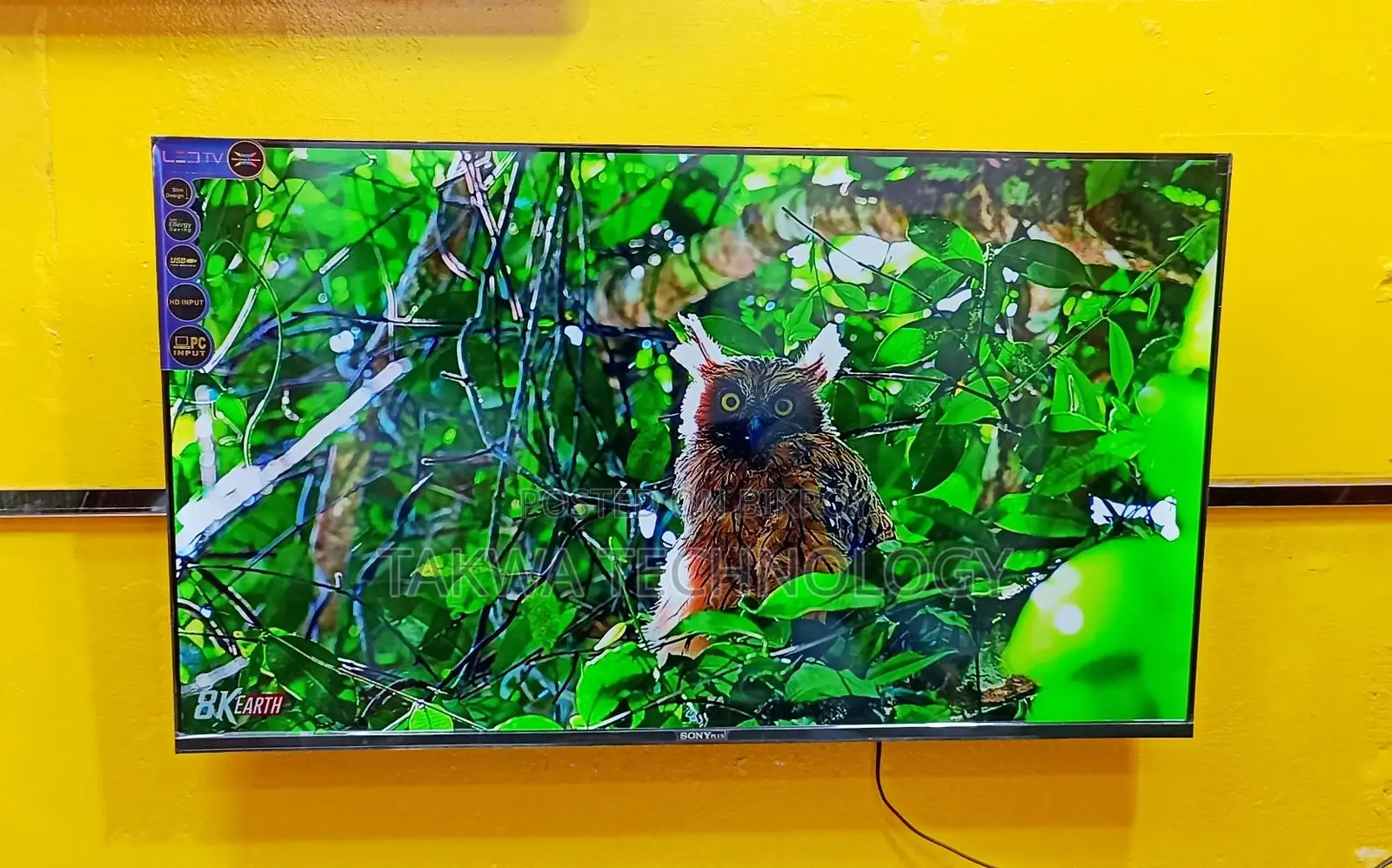 Sony Plus 43" Smart Frameless Voice Control TV