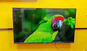 Sony Plus 43" Smart Frameless Voice Control TV