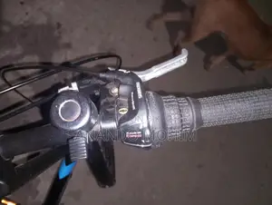 ফোল্ডিং সাইকেল