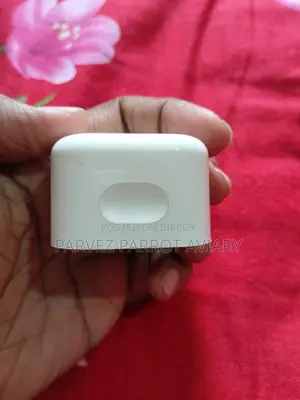 iPhone Adapter