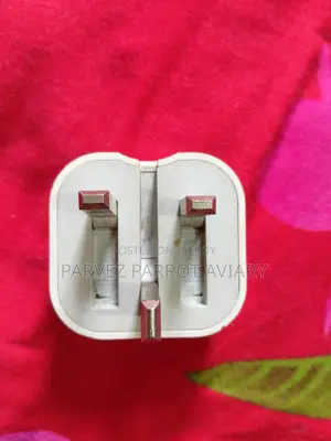 iPhone Adapter