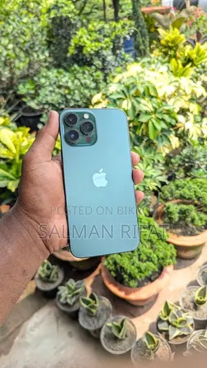 Apple iPhone 13 Pro Max 256, USA (Used)