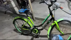 Phillips Bicycle
