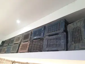 ৭০ বাংলা Crate বিক্রি করা হবে পার পিস ২০০ টাকা
