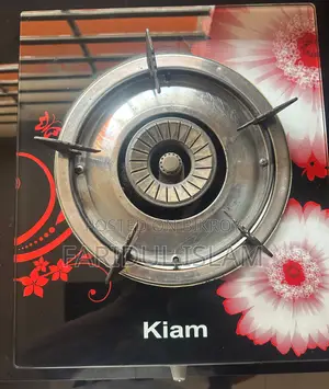 Gas Stove