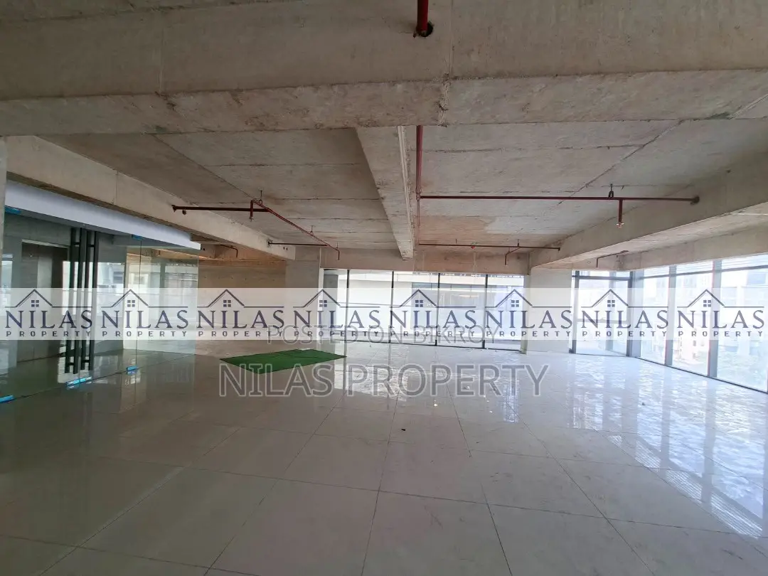 Modern Space with Terrace Ready for Rent in Dhanmondi