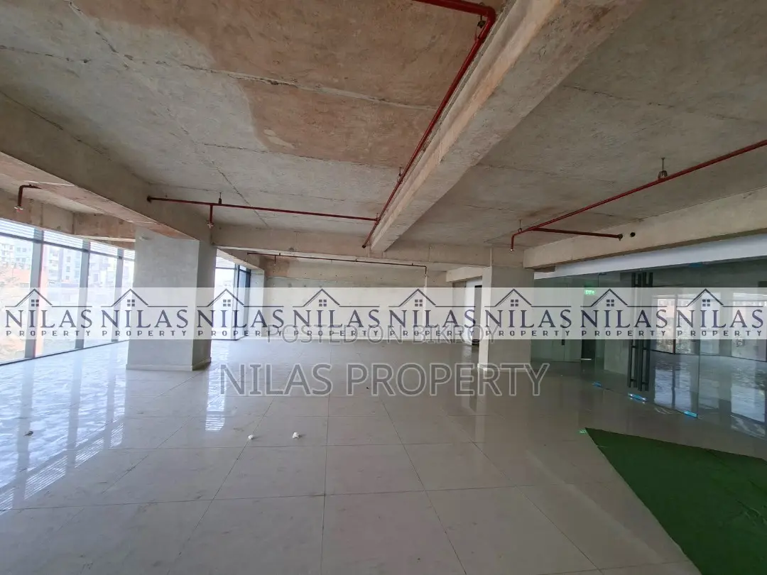 Modern Space with Terrace Ready for Rent in Dhanmondi
