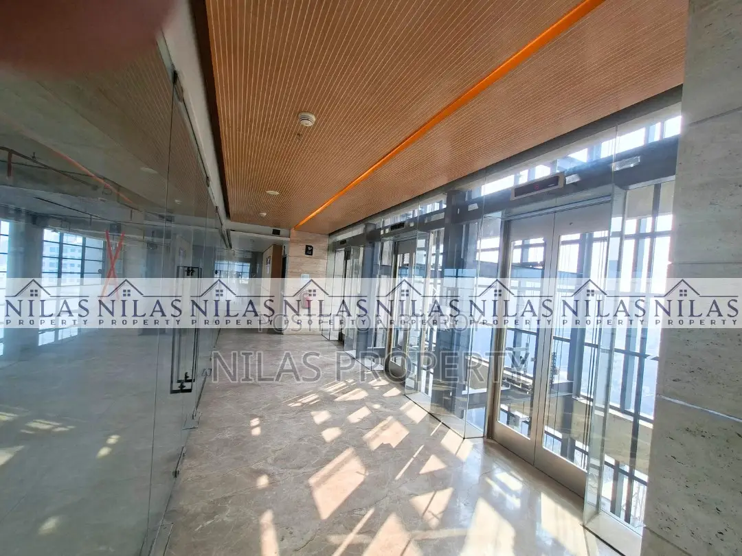 Modern Space with Terrace Ready for Rent in Dhanmondi