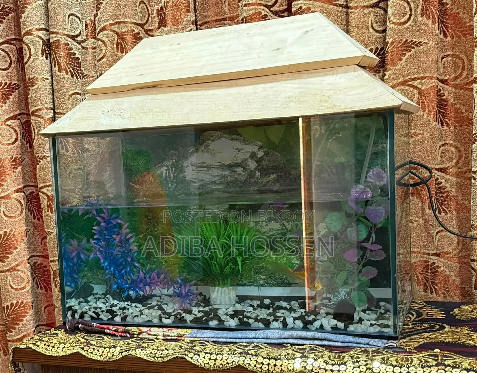 Aquarium for Sale