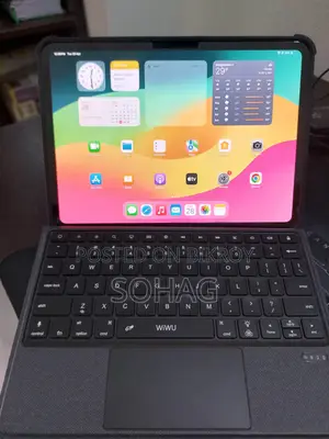 iPad Pro 11" M4 (2024) - Like New